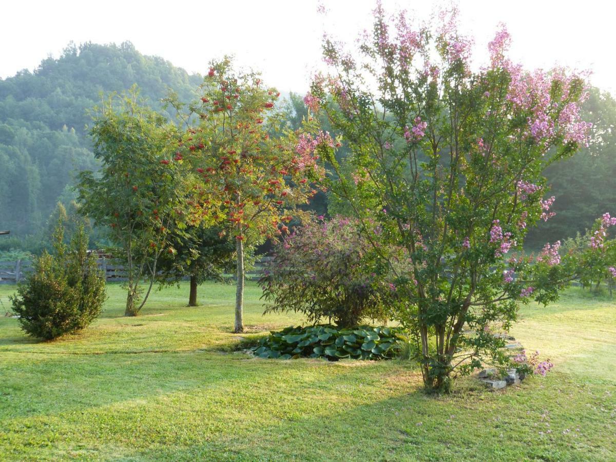 B&B Notte Stellata Gaiola Exterior photo